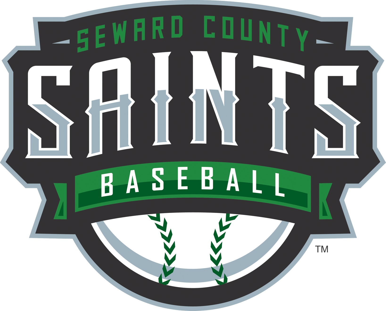 2017 Baseball Game Notes