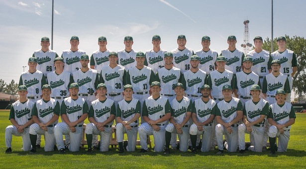 Saints baseball honored with academic award