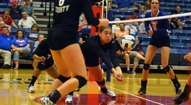 Veteran Dragons Too Much For Young Lady Saints
