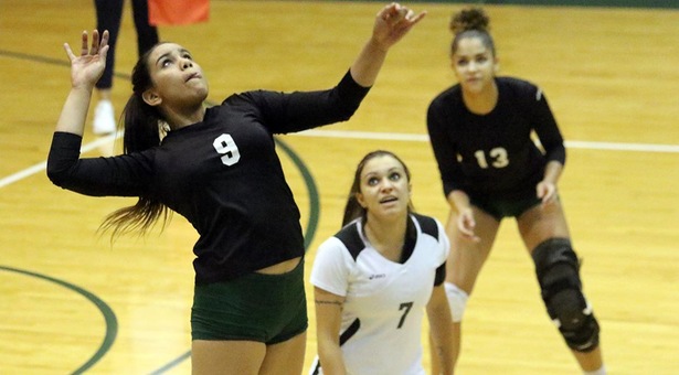 No. 3 Seward County reaches third straight Region VI Final Four